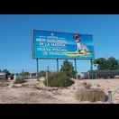 Eine Poollandschaft für Hunde inkl. Wasserrutsche